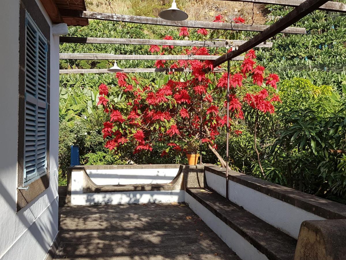 Вилла Casa Da Madalena Do Mar Экстерьер фото