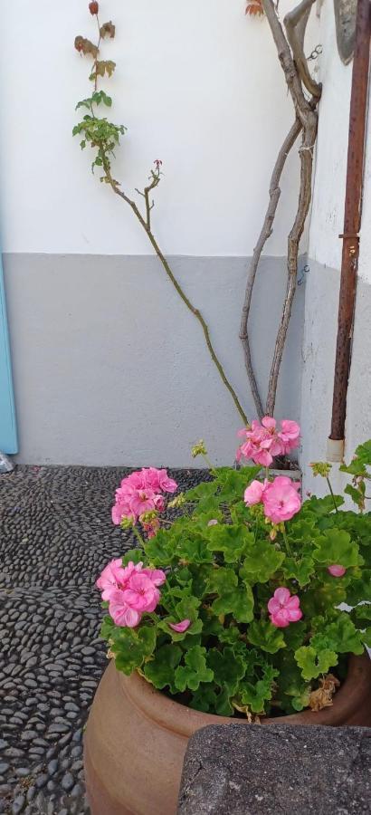 Вилла Casa Da Madalena Do Mar Экстерьер фото